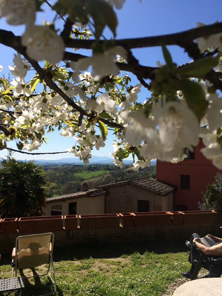 The garden of Hotel Santa Caterina in Siena