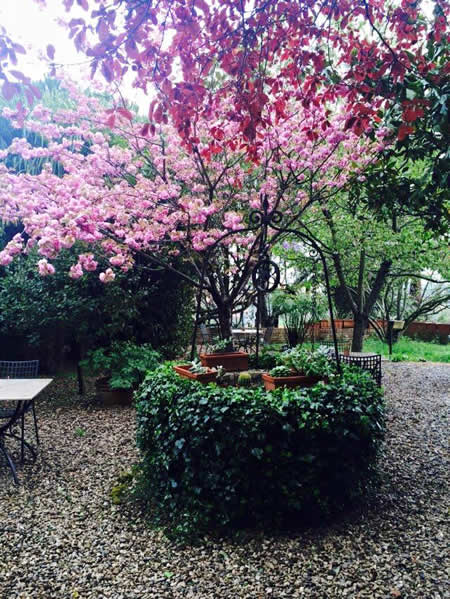 Der Garten des Hotels Santa Caterina in Siena