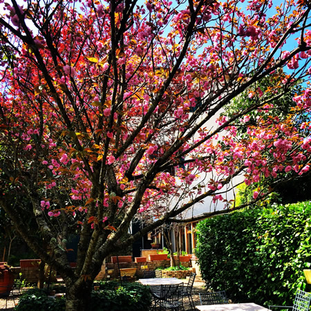 Der Garten des Hotels Santa Caterina in Siena